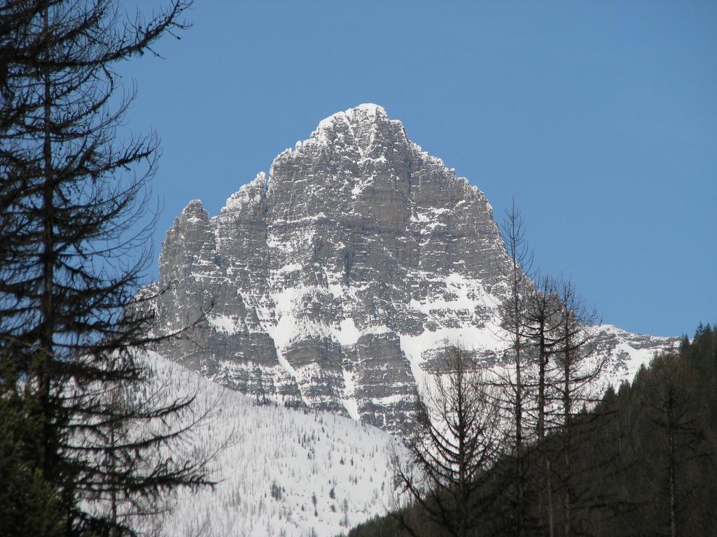 Glacier Haven Inn Pinnacle المظهر الخارجي الصورة