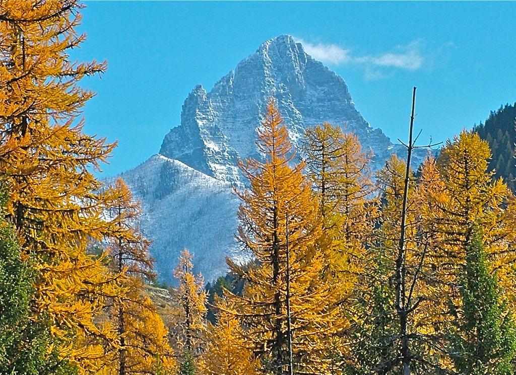 Glacier Haven Inn Pinnacle المظهر الخارجي الصورة